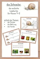 Vorschau - Unterrichtsreihen - dreifach differenzierte Lesekartei Schnecke Klasse 1-2 - Seite 1