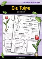 Vorschau - Arbeitsblätter - Steckbrief Tulpe - Frühblüher - Deckblatt