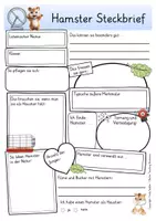 Vorschau - Arbeitsblätter - Hamster Steckbrief Sachunterricht Grundschule - Seite 1