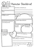 Vorschau - Arbeitsblätter - Hamster Steckbrief Sachunterricht Grundschule - Seite 2