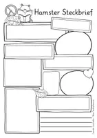 Vorschau - Arbeitsblätter - Hamster Steckbrief Sachunterricht Grundschule - Seite 3