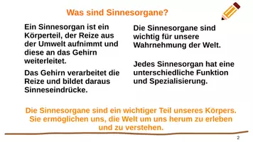Vorschau - Präsentationen/Tafelbilder - Sinnesorgane und Wahrnehmung Grundlagen für die Pflege - Seite 1