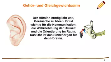 Vorschau - Präsentationen/Tafelbilder - Sinnesorgane und Wahrnehmung Grundlagen für die Pflege - Seite 3