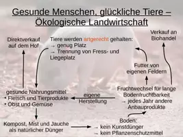 Vorschau - Präsentationen/Tafelbilder - Ökologische Landwirtschaft - Geographie - Digitales Tafelbild - Seite 3