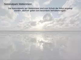 Vorschau - Präsentationen/Tafelbilder - Das Wattenmeer - Geographie - Digitales Tafelbild - Seite 3
