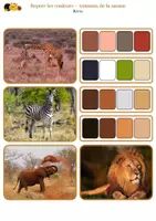 Aperçu - Jeux - Repère les couleurs - Animaux de la savane - Page 3