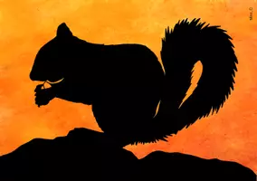 Vorschau - Mal- und Bastelvorlagen - Kunst im Herbst: Eichhörnchen im Herbst (Wasserfarben) - Seite 2