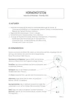 Vorschau - Arbeitsblätter - Anatomie und Physiologie, Hormone (2 Lektionen) - Seite 1