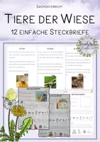 Vorschau - Stundenentwürfe - Tiere der Wiese - 12 einfache Steckbriefe - Deckblatt