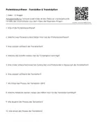 Vorschau - Arbeitsblätter - 1 Video - 10 Fragen: Proteinbiosynthese - Translation & Transkription - Seite 3