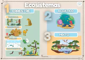 Vista previa - Hojas de trabajo - Los Ecosistemas - página 3