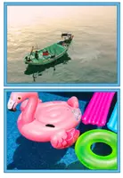 Vorschau - Poster - Schwimmen und Sinken - Bildkarten für den Einstieg in die Unterrichtseinheit - Seite 2