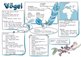Vorschau - Arbeitsblätter - Sketchnote Vögel - Deckblatt