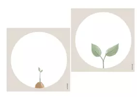 Vorschau - Bildkarten - Pflanzen-Feedback/ Wachstumssymbole - Visualisierung - Seite 2