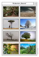 Vorschau - Unterrichtsreihen - Der Baum- ein Symbol für mein Leben - Seite 3