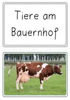 Vorschau - Poster - Bild- und Wortkarten - Tiere am Bauernhof - Seite 2