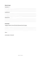 Vorschau - Arbeitsblätter - Untersuchen von Einflussfaktoren von chemischen Reaktionen - Experiment und Protokoll - Seite 3