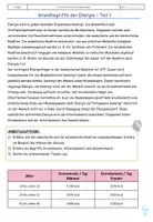 Vorschau - Stundenentwürfe - Unterrichtsstunde Grundbegriffe Energie, Stoffwechsel - Deckblatt