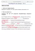 Vorschau - Stundenentwürfe - Unterrichtsstunde Grundbegriffe Energie, Stoffwechsel - Seite 2