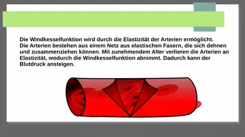 Vorschau - Präsentationen/Tafelbilder - Blutdruck verstehen und messen - Seite 3