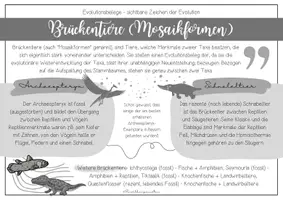 Vorschau - Poster - Evolutionsbelege - Beweise für die Evolution - Seite 2