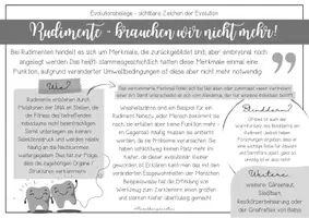 Vorschau - Poster - Evolutionsbelege - Beweise für die Evolution - Seite 3