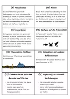 Vorschau - Stundenentwürfe - Materialpaket - Mysterys zur Evolution - Seite 3