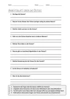 Vorschau - Arbeitsblätter - AB mit Fragen zum Thema "Ostsee" + Lösungsblatt + Mindmap + Infografiken - Deckblatt