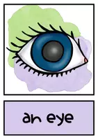 Vorschau - Stationenlernen - Parts of the body Flash Cards - Seite 3