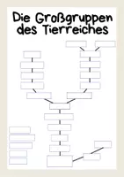 Vorschau - Arbeitsblätter - Großgruppen des Tierreiches - Seite 2