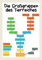 Vorschau - Arbeitsblätter - Großgruppen des Tierreiches - Seite 3