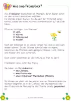 Vorschau - Arbeitsblätter - Frühblüher - Informationstext + Quiz - Seite 2