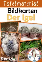 Vorschau - Poster - Der Igel - Bildkarten - Igeljahr, Feinde, Nahrung, Lebensraum - Deckblatt