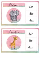 Vorschau - Fördermaterial/Inklusion - Klammerkarten bestimmter Artikel Freiarbeit - Seite 3
