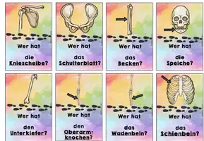 Vorschau - Spiele - Lesespiel Skelett - Ich habe... -Wer hat...? - Knochen, Skelett - Seite 2