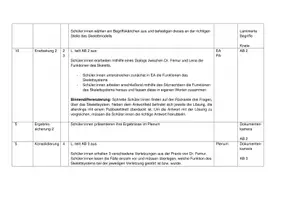 Vorschau - Stundenentwürfe - Passiver Bewegungsapparat - das Skelett (Lehrprobe) - Seite 2