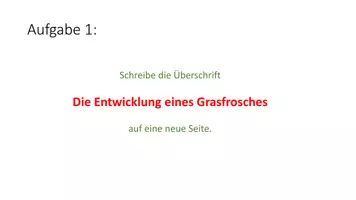 Vorschau - Spiele - Frösche - Materialpaket - Seite 3