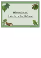 Vorschau - Poster - Wissenskartei Heimische Bäume Laubbäume - Seite 1