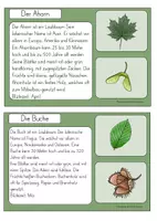 Vorschau - Poster - Wissenskartei Heimische Bäume Laubbäume - Seite 2