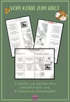 Vorschau - Arbeitsblätter - Getreide: Vom Korn zum Brot - Texte und passende Bilder - Deckblatt