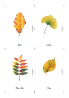 Vista previa - Juegos / Gamificación - AUTUMNAL LEAVES . TARJETAS MONTESSORI / INGLÉS. - página 3