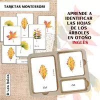 Vista previa - Juegos / Gamificación - AUTUMNAL LEAVES . TARJETAS MONTESSORI / INGLÉS. - Portada