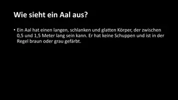 Vorschau - Arbeitsblätter - AB mit Fragen zum Thema "Aale" + Lösungsblatt - Seite 3