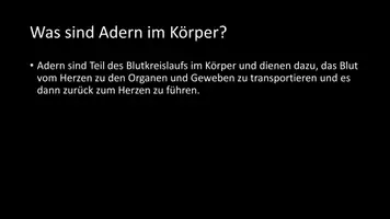 Vorschau - Arbeitsblätter - AB mit Fragen zum Thema "Adern" + Lösungsblatt + Infografik - Seite 3