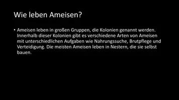 Vorschau - Arbeitsblätter - AB mit Fragen zum Thema "Ameisen" + Lösungsblatt + Infografik - Seite 3