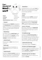 Vorschau - Arbeitsblätter - Maulwurf Komplettpaket - mit Lesetext, Steckbrief, Lückentext, Suchsel, Quiz und Ausmalbildern - Seite 1
