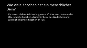 Vorschau - Arbeitsblätter - AB mit Fragen zum Thema "Bein" + Lösungsblatt - Seite 3