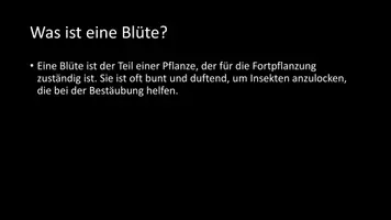 Vorschau - Arbeitsblätter - AB mit Fragen zum Thema "Blüte" + Lösungsblatt - Seite 2