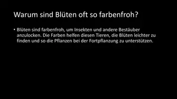 Vorschau - Arbeitsblätter - AB mit Fragen zum Thema "Blüte" + Lösungsblatt - Seite 3