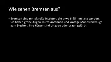 Vorschau - Arbeitsblätter - AB mit Fragen zum Thema "Bremsen (Insekten)" + Lösungsblatt - Seite 3